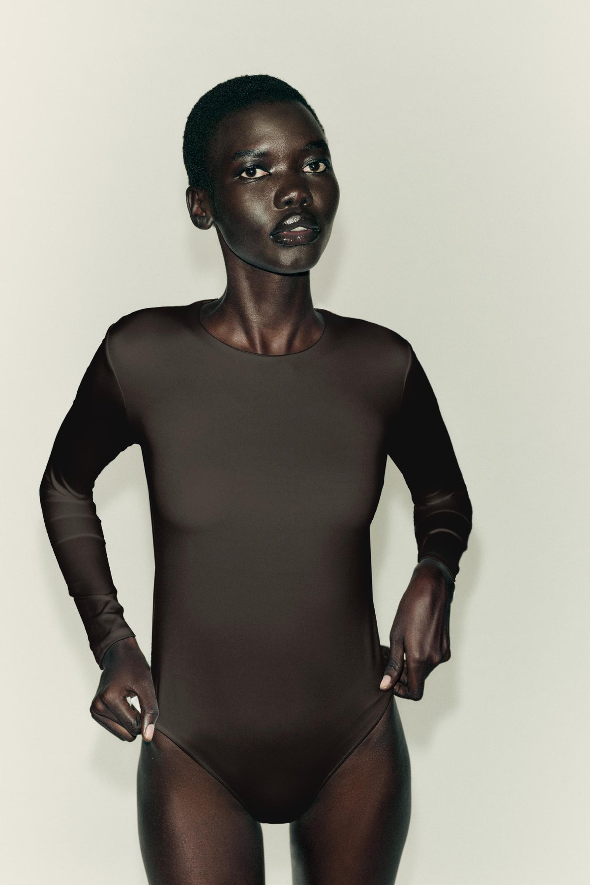 #271412, Marron foncé