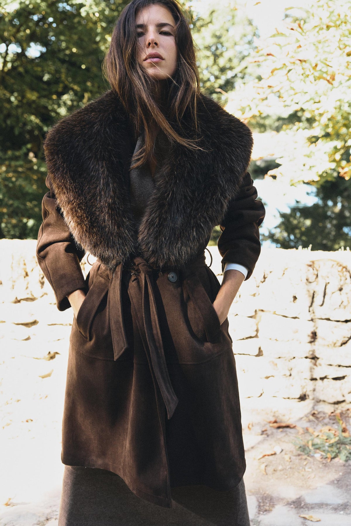 #281c15, Marron