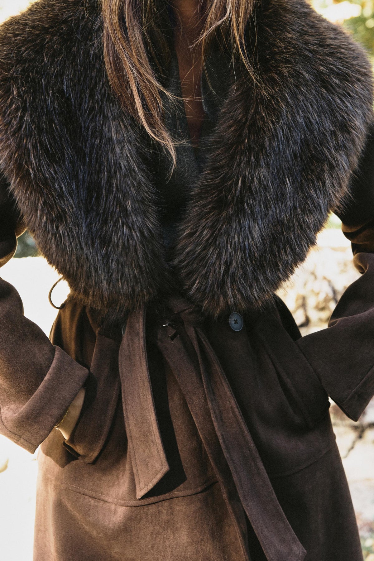 #281c15, Marron