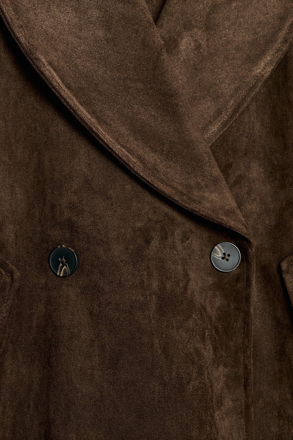 #281c15, Marron